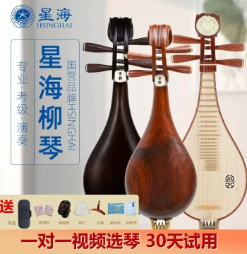 [30-Day Trial Video Selection] Xinghai Liuqin Professional Grade Exam Performance Beginner Practice 8412 Liuqin Instrument