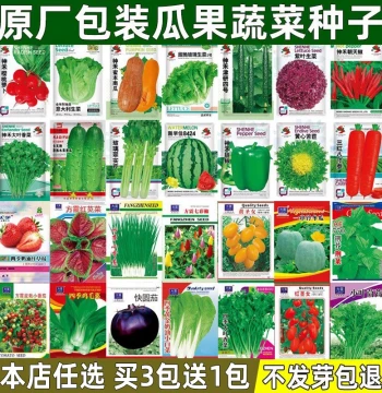 Vegetable Seeds for Year-Round Planting: Cucumber, Chili, Pumpkin, Beans, Lettuce, Coriander, Chives - Complete Seed Kit for Balcony & Courtyard Pots
