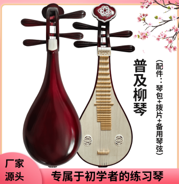 Beginner Liuqin Instrument - Hardwood Practice Liuqin Direct from Manufacturer (No Fine Tuner or Stand Included)