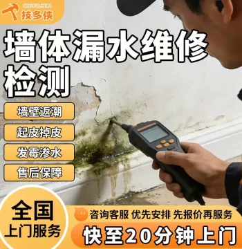 Wall Moisture, Efflorescence, Peeling, Mold, and Water Leakage Detection and Repair Services