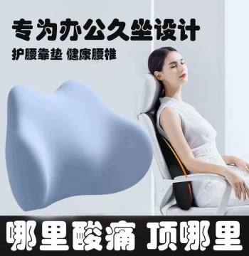 Lumbar Pillow for Herniated Disc Relief with Backrest