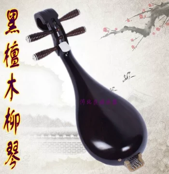 Professional Ebony Liuqin for Theater Troupes and Art Exams - Plucked String Instrument with Free Accessories (Strings, Picks, Case) from Manufacturer