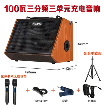 Yamaha Acoustic Guitar Amp (100W/150W) - Outdoor Live Streaming, Internal Recording, Karaoke, Bluetooth Pro Speaker
