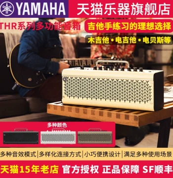 YAMAHA THR10II/THR30A Guitar Amplifier - Acoustic-Electric Guitar Amp with Multi-Function Sound