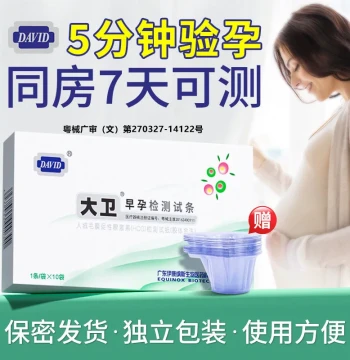 David Pregnancy Test Strips - Early Detection HCG Test Kit for Women, Official Flagship Store SY