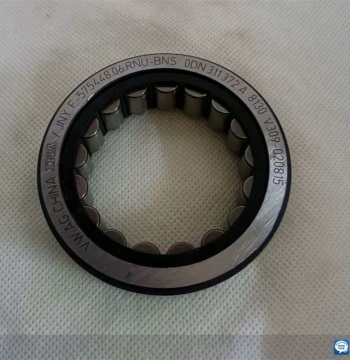 F-575448.06.RNU Transmission Bearing - AJ-6G07-067-1 / 0DN311372