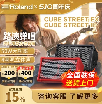 Roland CUBE Speaker EX - Outdoor Live Streaming, Singing & Karaoke Guitar Amplifier