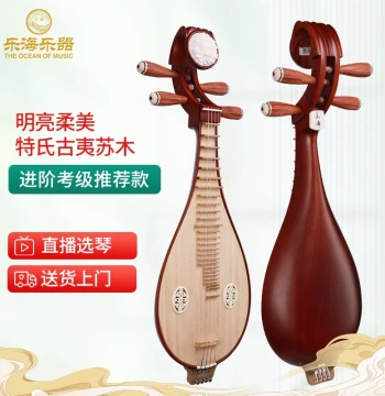 Yuehai Liuqin Instrument for Advanced Grading, Made of Dalbergia Fusca Wood, Natural Finish, Copper Fine Tuners, Model 413