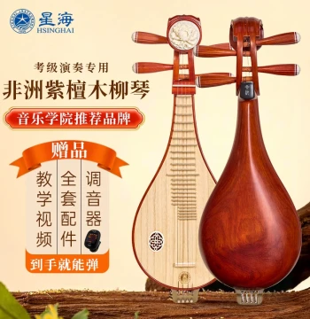 [Video Selection 30-Day Trial] Xinghai Beginner Practice and Examination Liuqin African Red Sandalwood Rosewood 8412