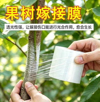 Fruit Tree Grafting Film Tape - PE Self-Adhesive Binding Strip for Citrus & Bougainvillea, No-Removal Wrap