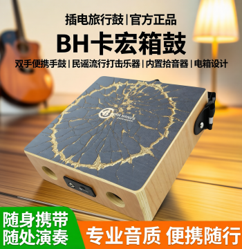 Plug-In Travel Cajon (Box Drum) by BH Cardong, Portable Hand Drum for Folk and Pop Music with Pickup for Electric-Acoustic Use