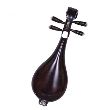 Professional Troupe Performance Liuqin Ebony Wood Instrument Manufacturer Promotion Copper Finish with Accessories Stand Case Pick Fan Chao