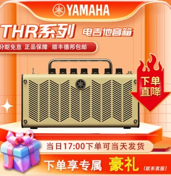 YAMAHA THR10II and THR5 Electric Guitar Amplifiers - Bluetooth Speakers for Acoustic, Bass, and Vocal Performance