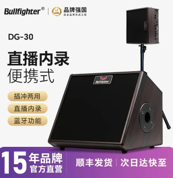 Matador Electric Guitar Amplifier Guitar Outdoor Performance Live Streaming Instrument Singing Street Karaoke Bluetooth Speaker