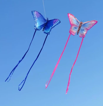 Tongfeixiang Long Ribbon Couple Kite - Easy to Fly in Light Breeze, Premium Quality for Kids and Adults, Weifang Style