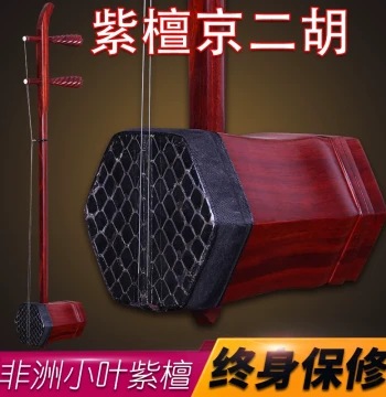 Yizhimu Jing Erhu Xipi Erhuang Jing Erhu Rosewood Xipi Erhuang Jing Erhu