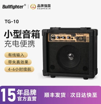 Matador 10W Electric Guitar Amplifier - Portable Rechargeable Speaker for Acoustic-Electric Guitars (20W/40W Options)