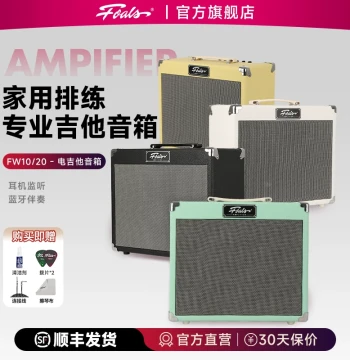 FOALS Electric Guitar Amplifier FW20/10 for Beginners, Practice, Rehearsal, and Home Use