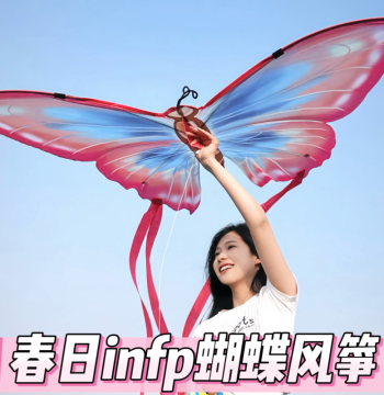 Spring Butterfly Kite with Long Tail - INFP Aesthetic Outdoor Picnic Prop for Adults and Kids