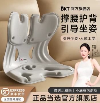 Lumbar Support Cushion for Prolonged Sitting