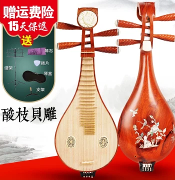 Premium Liuqin Instrument for Adult Professional Performance and Beginners Ethnic Plucked Instrument Rosewood Shell Inlay Teaching