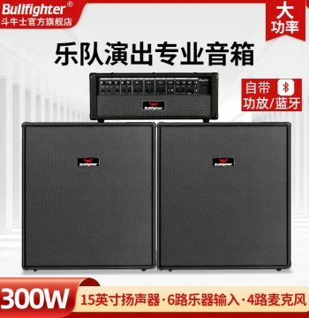 Matador 300W High-Power All-in-One Stage Speaker Amplifier for Band Performances, Electric Guitar Rehearsal, Split Sound System