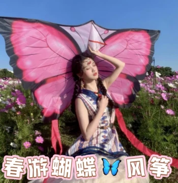 2026 Spring Butterfly Kite, INFP Aesthetic Viral Long-Tail Kite for Adults and Kids, Picnic and Outdoor Spring Activity Prop