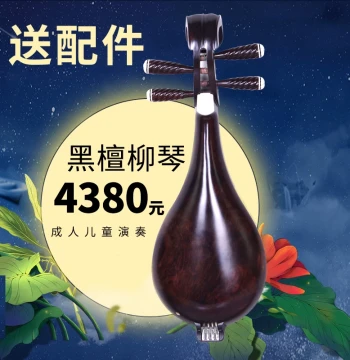 Manufacturer Promotion Ebony Wood Liuqin Instrument for Troupe Band Performance Includes Accessories Strings Picks Case Stand Fanchao