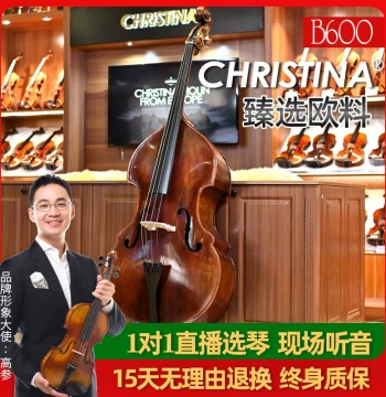 Christina B600 Solid Wood European Material Handcrafted Professional Double Bass for Adults and Children