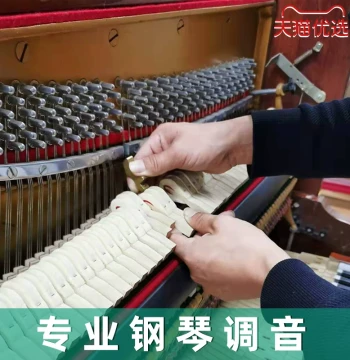 Suzhou Piano Tuning and Maintenance Service: Professional On-Site Tuning by Certified Technicians