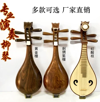 Professional Performance Liuqin - Rosewood, Golden Sandalwood, and Hedgehog Rosewood with Accessories