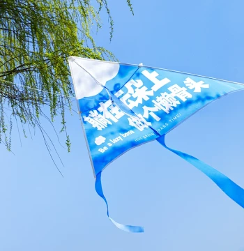 Qingheji Original Kite for Adults, 2026 New Creative Text Handheld Kite, Compact Storage, Easy to Fly in Light Breeze