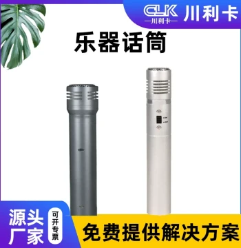 Instrument Microphone Super Cardioid Mic Multi-function Hall Large Hall Conference Room Professional Microphone Public Address System
