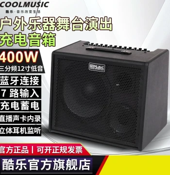 Kule DK400 Outdoor Stage Speaker - 400W for Guitar Sing-alongs, Band Rehearsals, Electronic Drums, and Keyboards