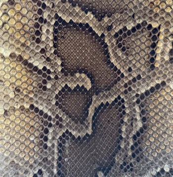 Erhu Skin Python Skin Erhu Yuehu Zhonghu Instrument Skin Sanxian Skin