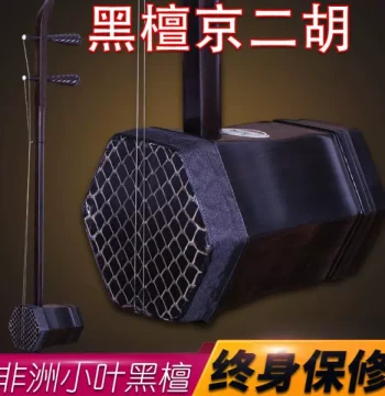 Ebony Beijing Erhu for Xipi and Erhuang Modes, Professional Performance Instrument for Peking Opera Accompaniment with Full Accessory Kit