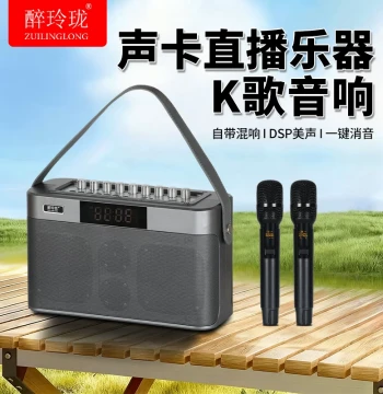 Portable Outdoor Instrument Speaker - Dedicated for Electric Wind Instruments, Saxophone, Erhu, Guitar Singing Accompaniment, Rechargeable