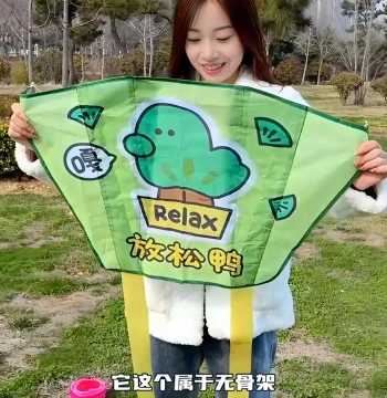 Pocket Kite New Style for Children, Easy to Fly in Light Breeze, Outdoor Sports Handheld Kite, Weifang Kite