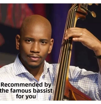 Sourced Products: Bass, Bass, Cello, Handcrafted for Adults and Children, Beginner Practice