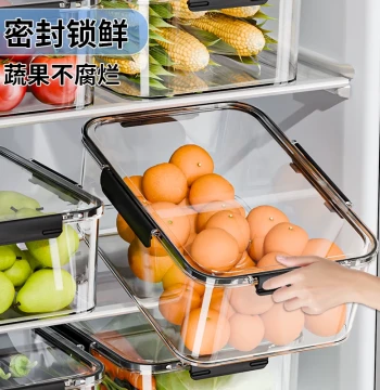 Fresh-Keeping Box Large Capacity Sealed for Frozen Fruits and Pickles