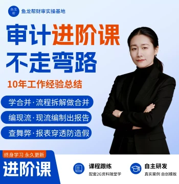 Audit Fish Master - Classic Advanced Audit Practical Course / Audit Working Papers / Consolidated Financial Statements / Cash Flow Statements