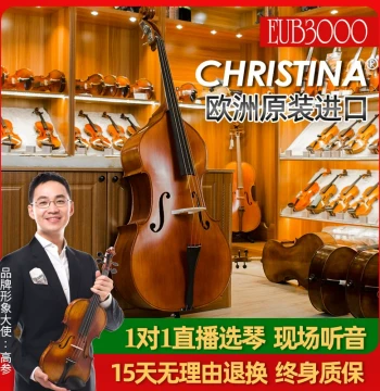 EUB3000 European Imported Solid Wood Handcrafted Professional Double Bass - Upright Bass for Performance