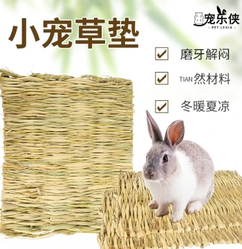 Pet Rabbit Grass Mat Foot Pad - Winter Bedding for Chinchillas Guinea Pigs Lop-Eared and Dwarf Rabbits Anti-Stuck Feet