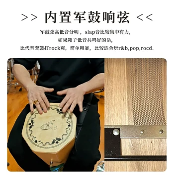 GECKO Octagonal Drum - Portable Travel Cajon with Case, Hand Percussion Instrument