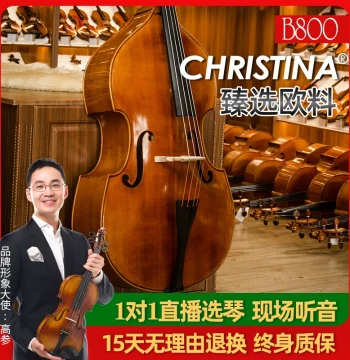 CHRISTINA B800 Professional Double Bass - Handcrafted European Wood, Adult Concert-Level Instrument