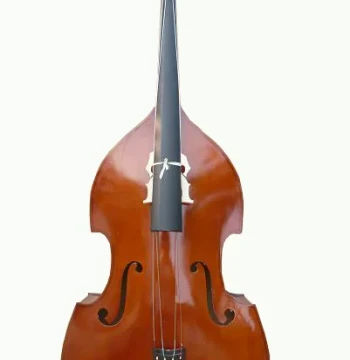 Handcrafted Professional Double Bass for Exams and Performances by Shijia