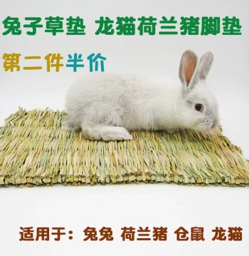 Natural Hay Foot Pad for Rabbits, Chinchillas, and Guinea Pigs - Chewable, Teeth-Grinding, and Warm Bedding