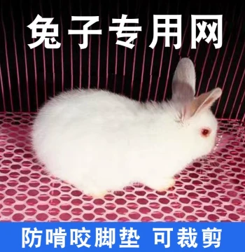 Rabbit Foot Mat – Anti-Chew Wire Grid for Cages, Droppings Tray, Soft Pads for Easy Waste Cleanup
