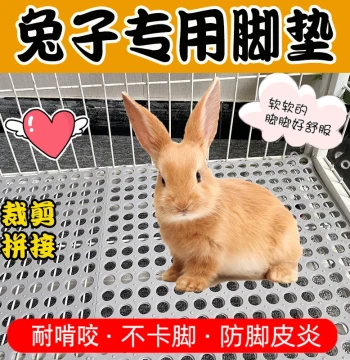 Rabbit Foot Pad - Anti-Chew, Anti-Stuck Grid Mat for Dwarf Rabbit Cages and Nesting