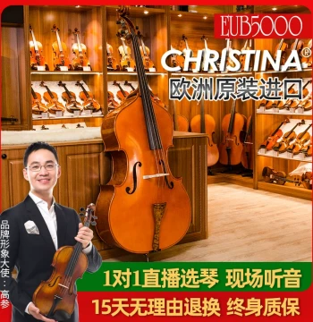 EUB5000A European Original Imported Solid Wood Handcrafted Professional Double Bass
